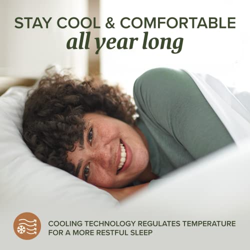 Beckham Hotel Collection Bed Pillows Standard / Queen Size Set of 2