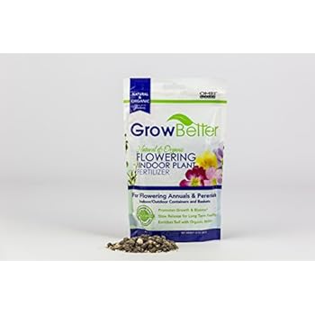 Amazon.com : Natural & Organic Flowering and Indoor Plant ...