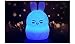 Bear Kids Night Light, iWheat Soft Silicone Tap & Remote Control Night Light, LED Multicolor Night Light Portable USB Rechargeable Best for Baby Children