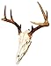 Skull Hanger, Firearms Style