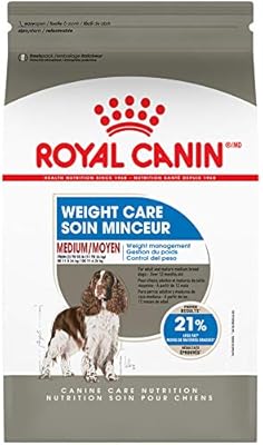 senior dog food for weight gain