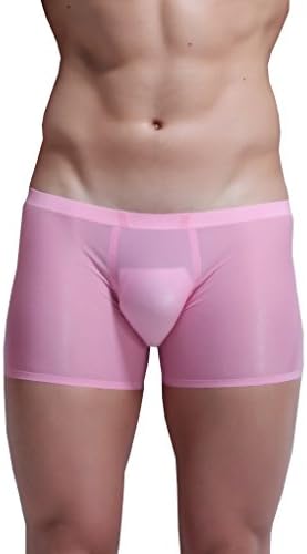 WINDAY Men's Brief Ice Silk Bikini Underwear Low Rise Seamless Breathable Briefs