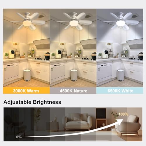DBFAIRY 52cm Ceiling Fans with Lights, E27 Base Screw in Small Ceiling Fans Lights with Remote Timer 3 Colors Dimmable, 3 Speeds, 3000K-6500K LED Light for Bedroom Kitchen Office Dormitory