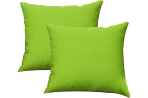 Augld 2Pack Outdoor/Indoor Throw Pillow Cover, Waterproof Solid Pillow Case Kiwi 18"x18"