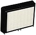 Oreck HF1000 Filter, HEPA Buster B BB1000/BB1100 Series Exhaust , White