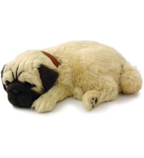 precious petzzz amazon