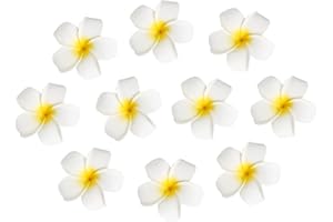 FRCOLOR Women's Hawaiian Plumeria Flower Hair Clip Wedding Bridal Hairpin Barrette Hair Accessories - 10 Pieces