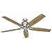Hunter Indoor Ceiling Fan with LED Light and pull chain control - Donegan 60 inch, Brushed Nickel, 54172