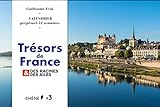 Trésors de France & Des racines et des ailes : Calendrier perpétuel 52 semaines by 
