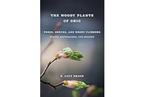 WOODY PLANTS OF OHIO: Trees, Shrubs, and Woody Climbers: Native, Naturalized, and Escaped