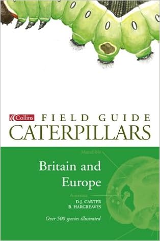 A Field Guide To Caterpillars Of Butterflies And Moths In Britain
