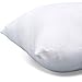 DOZZZ Premium Hypoallergenic Stuffer Pillow Insert Sham Square Form Cushion Polyester 16