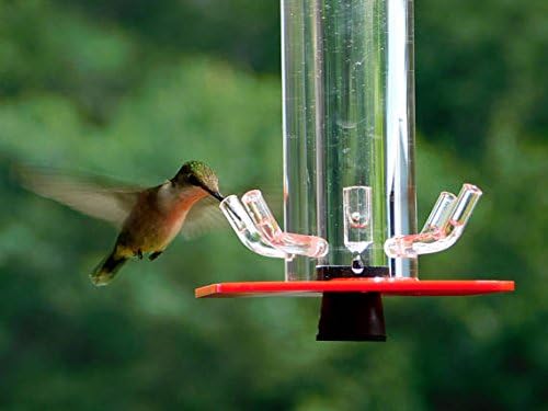 Amazon Com Peter S Feeders Hummingbird Feeder Handmade In The