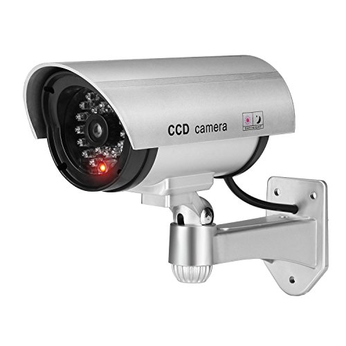 1 Cameras+Surveillance+Realistic+Blinking+Businesses