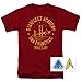 Popfunk Star Trek Starfleet Academy T Shirt & Stickers (XX-Large) Cardinal