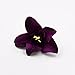 FLOWER 30pcs/lot Artificial Silk Orchid Heads for Wedding Decoration DIY Wreath Gift Scrapbooking Craft Supplies Fake (Purple)