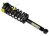 Moog ST8532 Strut and Coil Spring Assembly