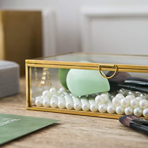 Smart Wyche 10.8" Glass Box Keepsake Box with Hinged Lid for Women and