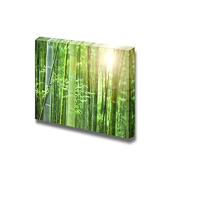 Canvas Prints Wall Art - Bamboo Forest with Morning Sunlight for Spa Art | Modern Wall Decor/Home Decoration Stretched Gallery Canvas Wrap Giclee Print. Ready to Hang - 16