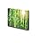 Canvas Prints Wall Art - Bamboo Forest with Morning Sunlight for Spa Art | Modern Wall Decor/Home Decoration Stretched Gallery Canvas Wrap Giclee Print. Ready to Hang - 12" x 18"