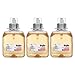 GOJO Luxury Foam Antibacterial Handwash, Fresh Fruit Fragrance, 1250 mL Foam Hand Soap Refill for GOJO FMX-12 Push-Style Dispenser (Pack of 3) – 5162-03