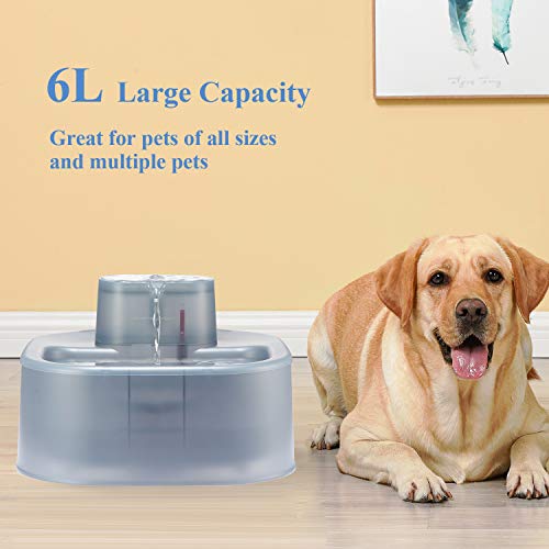 HoneyGuaridan Large Pet Water Fountain 6L/1.6 Gallon Dog Water Fountain Large Breed, Automatic
