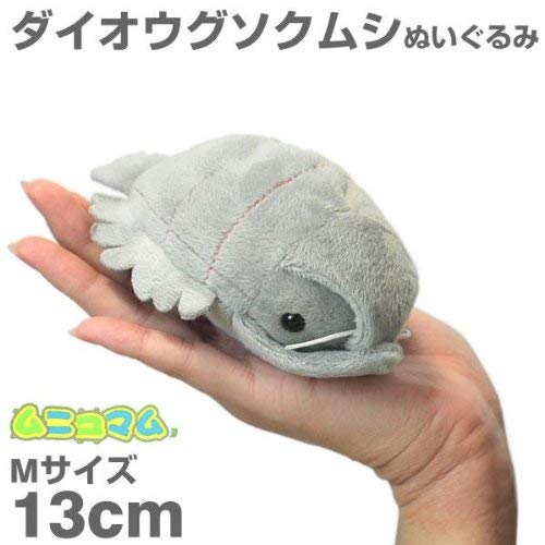 kawaii isopod