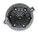 WVE by NTK 3D1158 Distributor Cap and Rotor Kit, 1 Pack