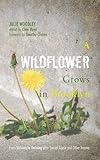 A Wildflower Grows in Brooklyn: From Striving to Thriving after Sexual Abuse and Other Trauma by Julie Woodley, Clem Boyd