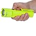 Nightstick XPP-5420G 3 AA Intrinsically Safe Permissible Flashlight, Green