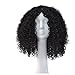 InKach Curly Short Wigs, Women Girls Hair Wig Full Heat Resistant Charming Cosplay Costume Synthetic Wigs (Black)