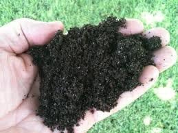 Vermbrew Worm Castings