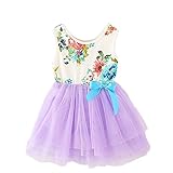 2Bunnies Little Girls Baby Girls Infants Sleeveless Floral Princess Dress Tulle Tutu Sundress