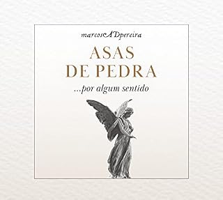 Livro Asas de Pedra: Por Algum Sentido