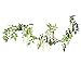 Felice Arts 4 Pcs Artificial Flowers 6.6ft/Piece Silk Wisteria Ivy Vine Green Leaf Hanging Vine Garland for Wedding Party Home Garden Wall Decoration, Cream