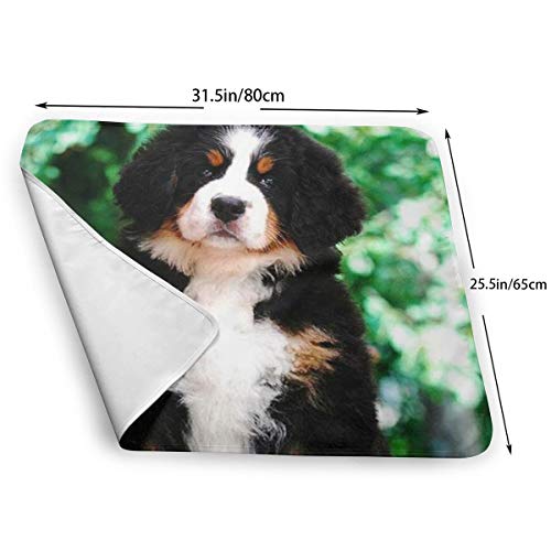 V5DGFJH.B Baby Portable Diaper Changing Pad Bernese Mountain Dog Urinary Pad Baby Changing Mat 31.5" x25.5'' - Thumbnail 2
