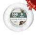 Ilyapa 100 Pack 9 Inch Disposable Dessert Plates, Plastic Clear Party Sets for 100 Guests, Clear Appetizer and Cake plates 9