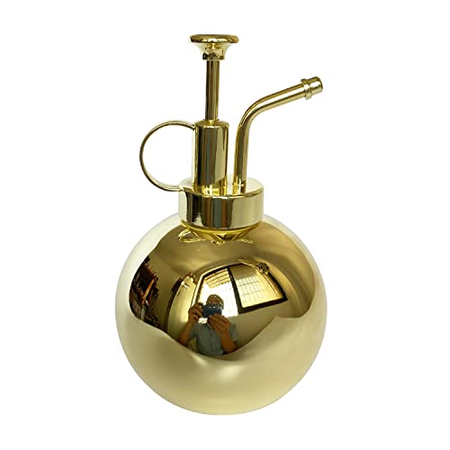 Lianshi Plant Misting Bottle Stainless Steel Plant Sprayer, Small Watering Can Plant Misting Bottle Modern Gardening Tools for Indoor Potted Plants Watering and Misting