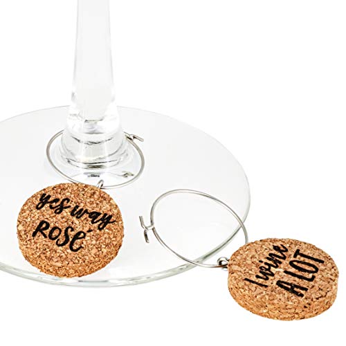 5 Juvale+12+Piece+Glasses+Sayings+Designs