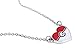 Pokemon Stainless Steel Pendant with Chain (Pokeball Heart)