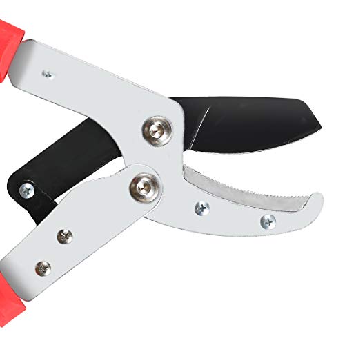 Terme Pruning Shears Compound Action Anvil Lopper Chops Thick Branches with Ease 2-Inch Cutting Capacity 30-Inch Tree Trimmer