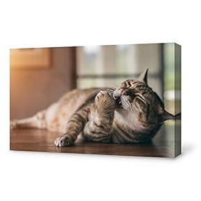 Canvas Wall Art Lazy Cat Modern Home Decor Canvas Painting Wall Decoration for Bedroom Living Room - 12x18 inches