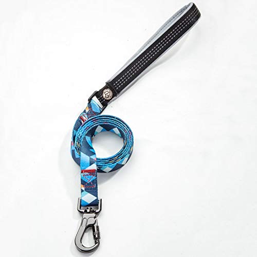 Everking Modern Dog Lead Multicoloured (0202-4)