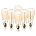 Edison Light Bulbs, 6-Pack 40w Vintage Edison Bulb, Squirrel Cage Filament Edison Bulbs, E26 Base - Amber Tinted - 110V - Dimmable - ST64 Decorative Lightbulbs