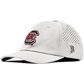 Branded Bills Officially Licensed x Michigan State Spartans Performance Dad Hat Collection Michigan State Spartan PVC