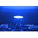 MR16 GU5.3 Blue LED Recessed Light, Aluxcia 5W GU5.3 GX5.3 Bi-Pin Base MR16 Landscape Light AC/DC 12V/24V 120 Degree Beam Angle 50W Halogen Replacement Bulb for Recessed Track Lighting, Blue, 2-Pack