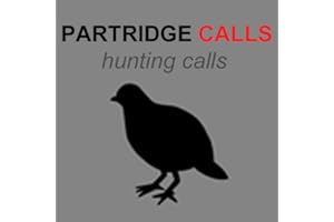 Partridge Calls for Hunting - Partridge Sounds Hunting Calls