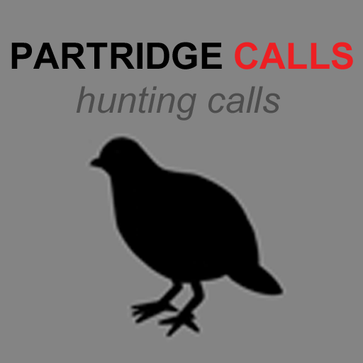 Partridge Calls for Hunting - Partridge Sounds Hunting Calls - Thumbnail 5