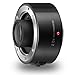 Panasonic LUMIX 2.0X Teleconverter Lens, Black (DMW-TC20)