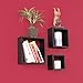 Fasthomegoods WALLNITURE Modern Home Decor Square Cube Floating Wall Shelf Black Set of 3
